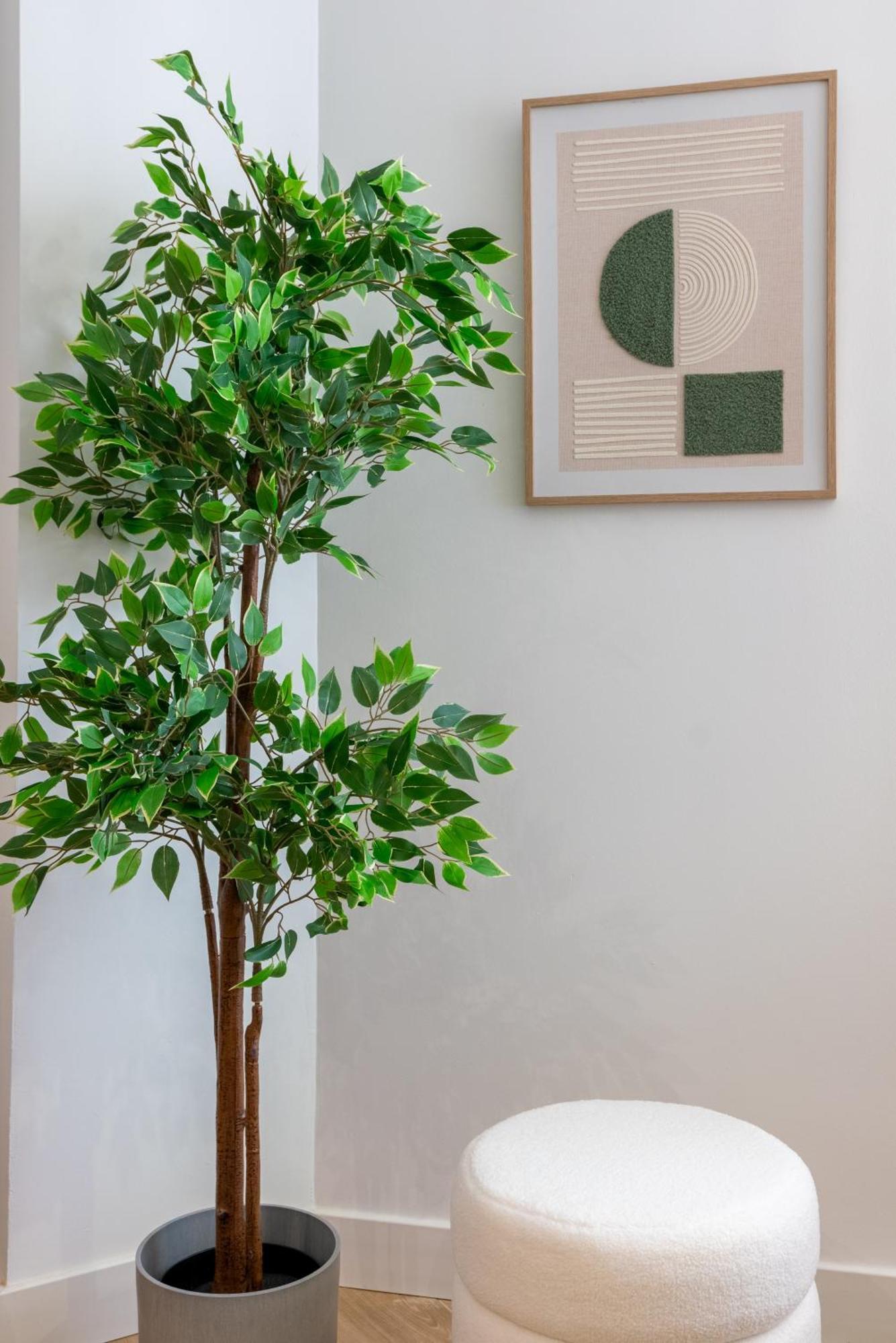 Diseno Y Comodidad En Bami เซบีญา ภายนอก รูปภาพ